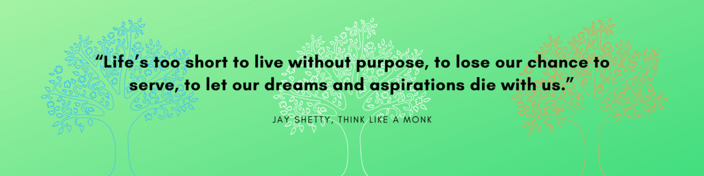 Think like a monk quotes 3